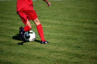 九游体育官网首页-CBA球队完善伤病防护体系保障运动员健康和职业生涯，cba球员伤情报告