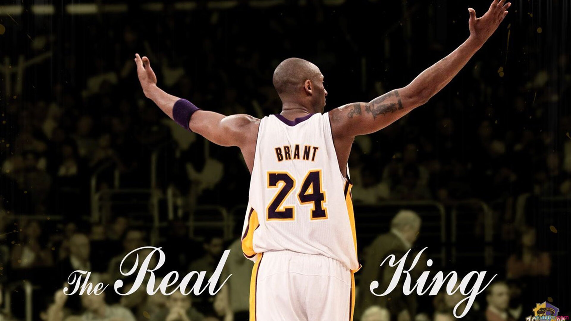 Jiuyou-“马丁·高尔西如何塑造阿根廷美洲狮队的强大防守”